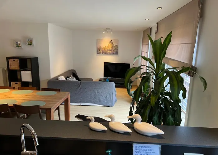 Duplex appartement Dujardin